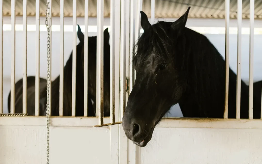 Most Expensive Pets to Own: The 8 Worst for Your Wallet