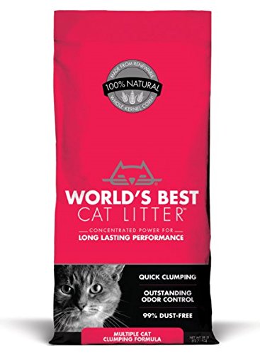 1. World's Best Cat Litter Multiple Cat - Best Renewable and Biodegradable