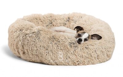 Best Luxury Pet Products Reviews in 2019