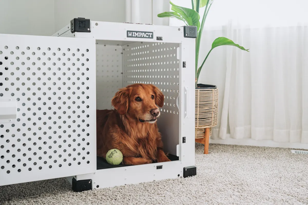 A covered crate paired with other dog anxiety products as a safe room