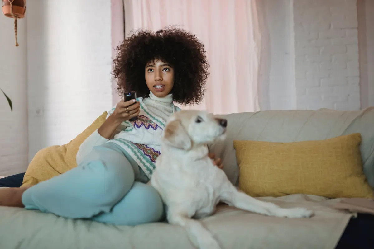 Dog resting in an apartment living room under an apartment pet policy template