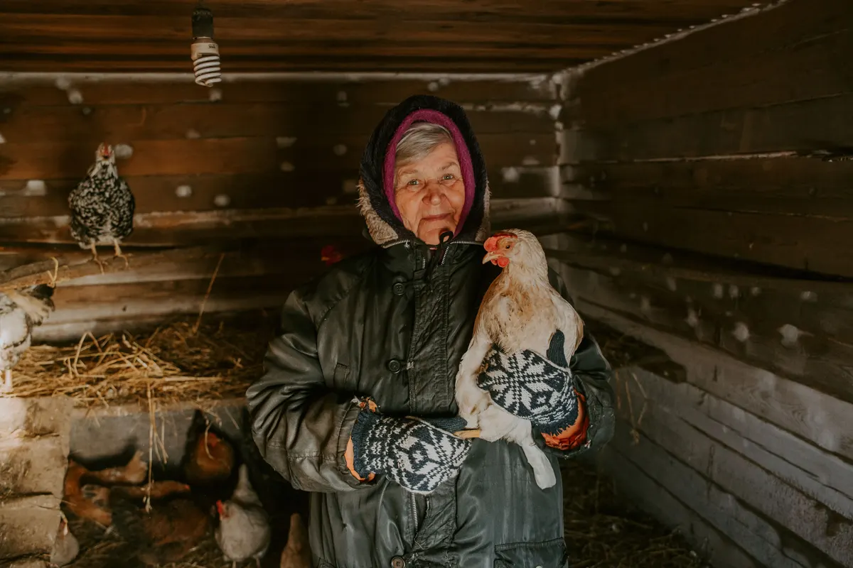 Keeper in a coop in winter, when a chicken waterer freezes