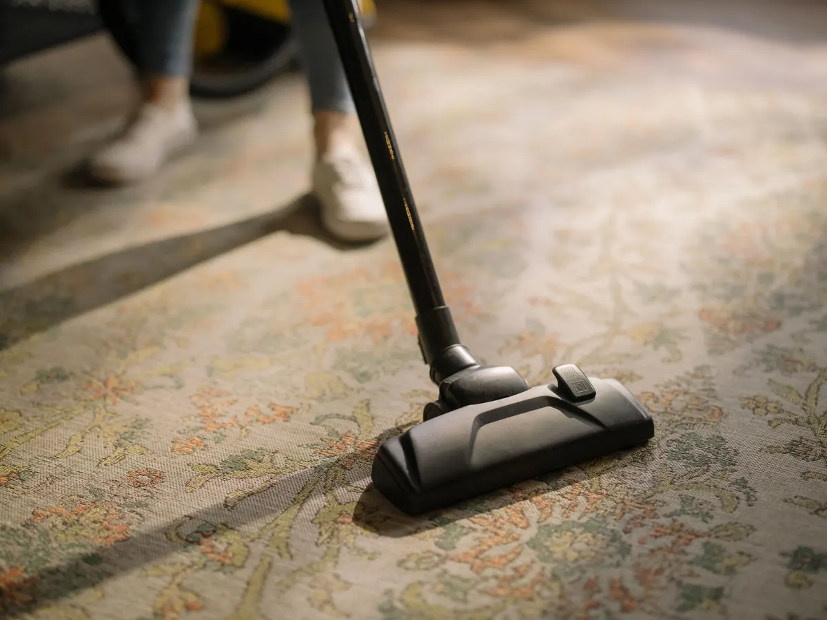 Treating a fresh stain with the enzyme pet cleaning supplies that actually work