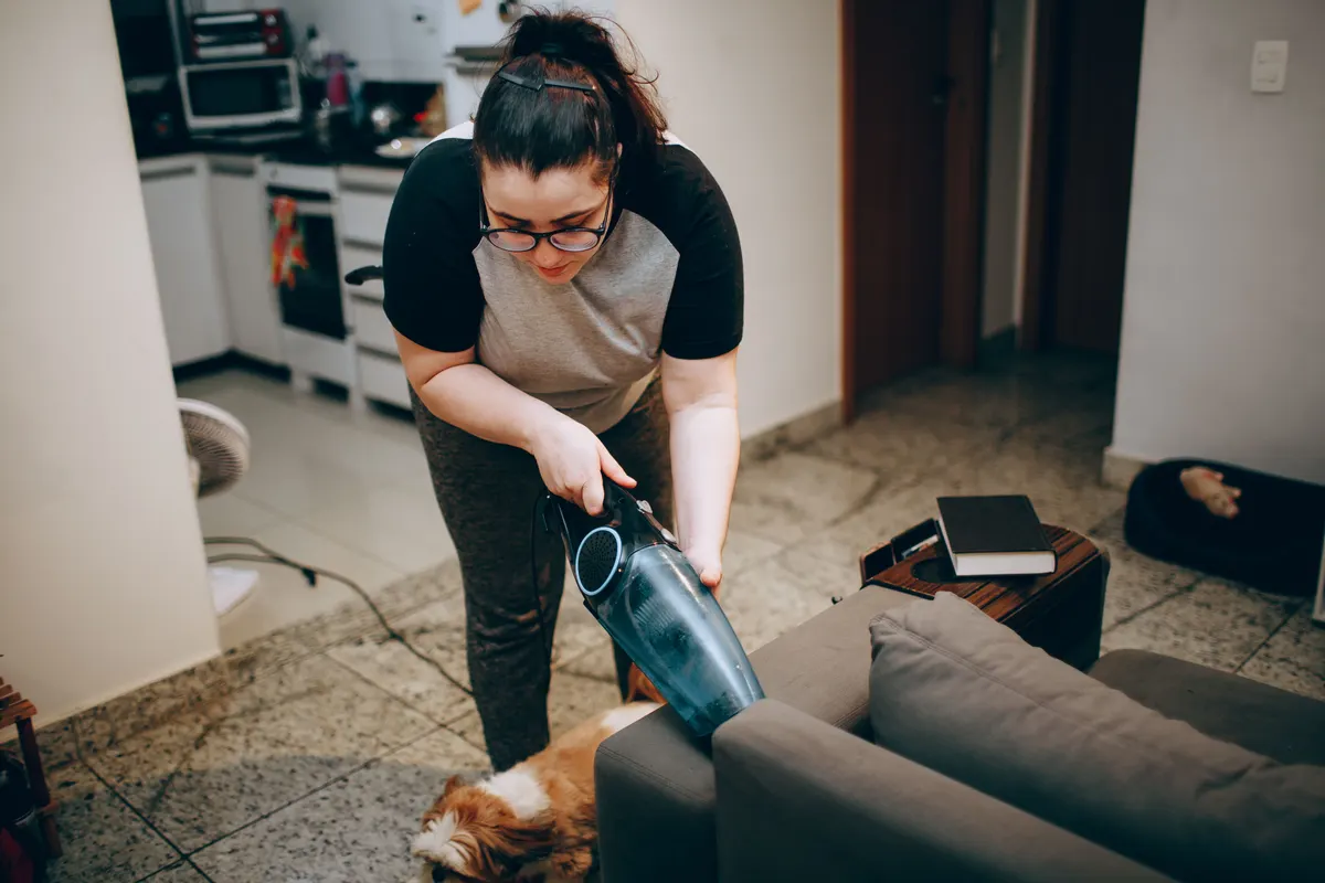 Vacuuming pet hair, the first job for any pet cleaning supplies kit
