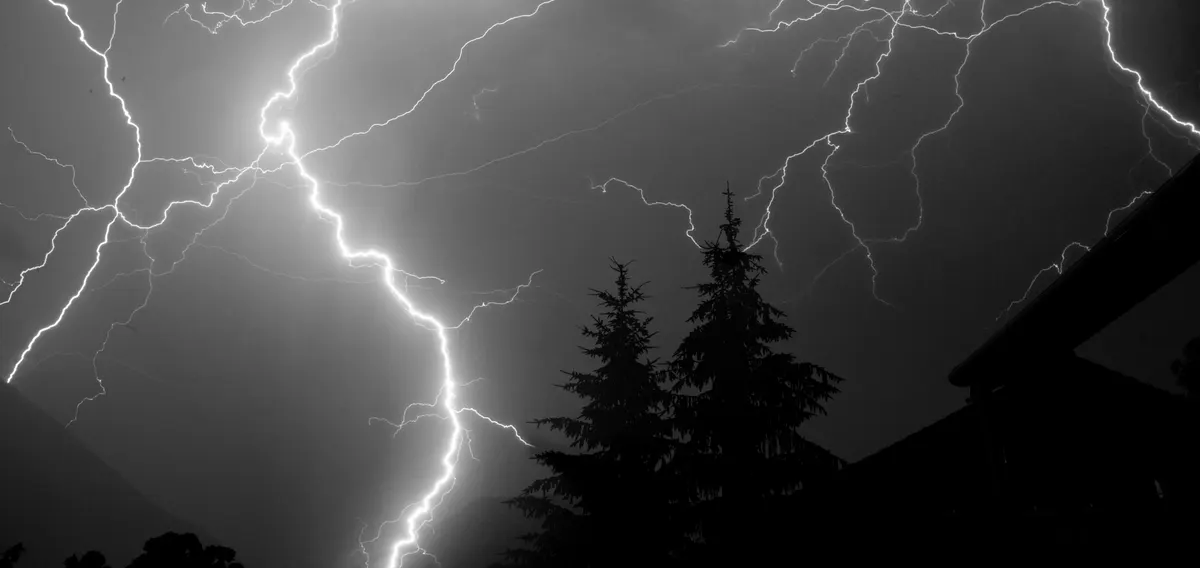 Thunderstorm, the other trigger owners buy a calming vest for