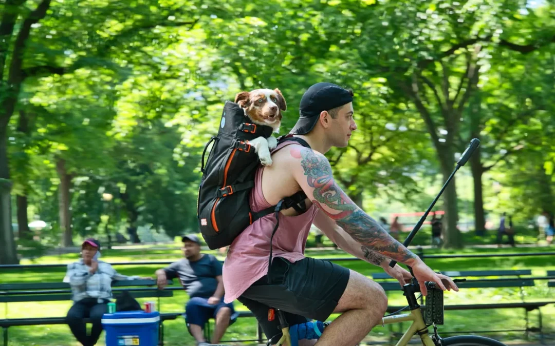Best Dog Backpack Carrier 2026: My 12 Picks After Owning Several