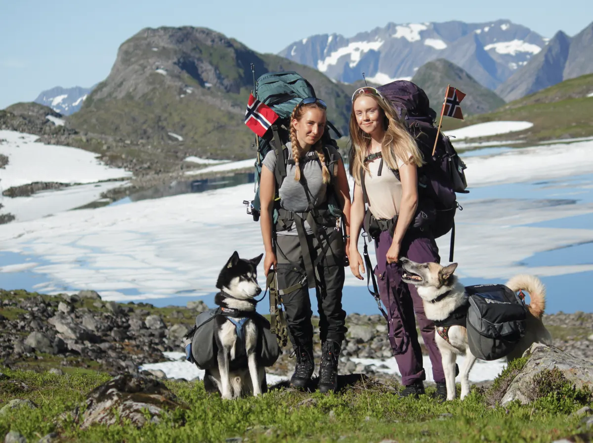 Dog on a mountain trail, the day a dog backpack carrier saves little legs