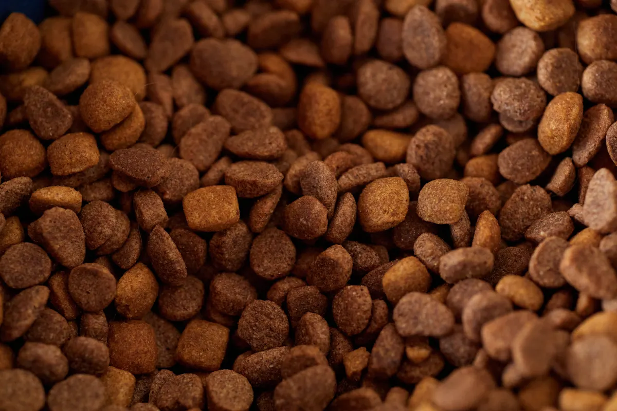Kibble up close, what a pet food storage container keeps fresh