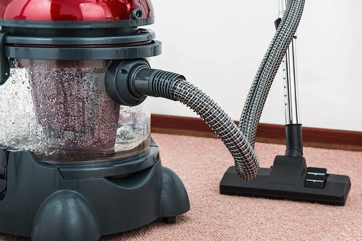 Vacuuming a carpet, the most underrated step in how to keep fleas off dogs