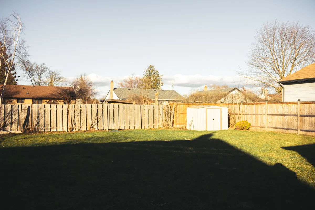 Sunlit open lawn, ground fleas do not survive on