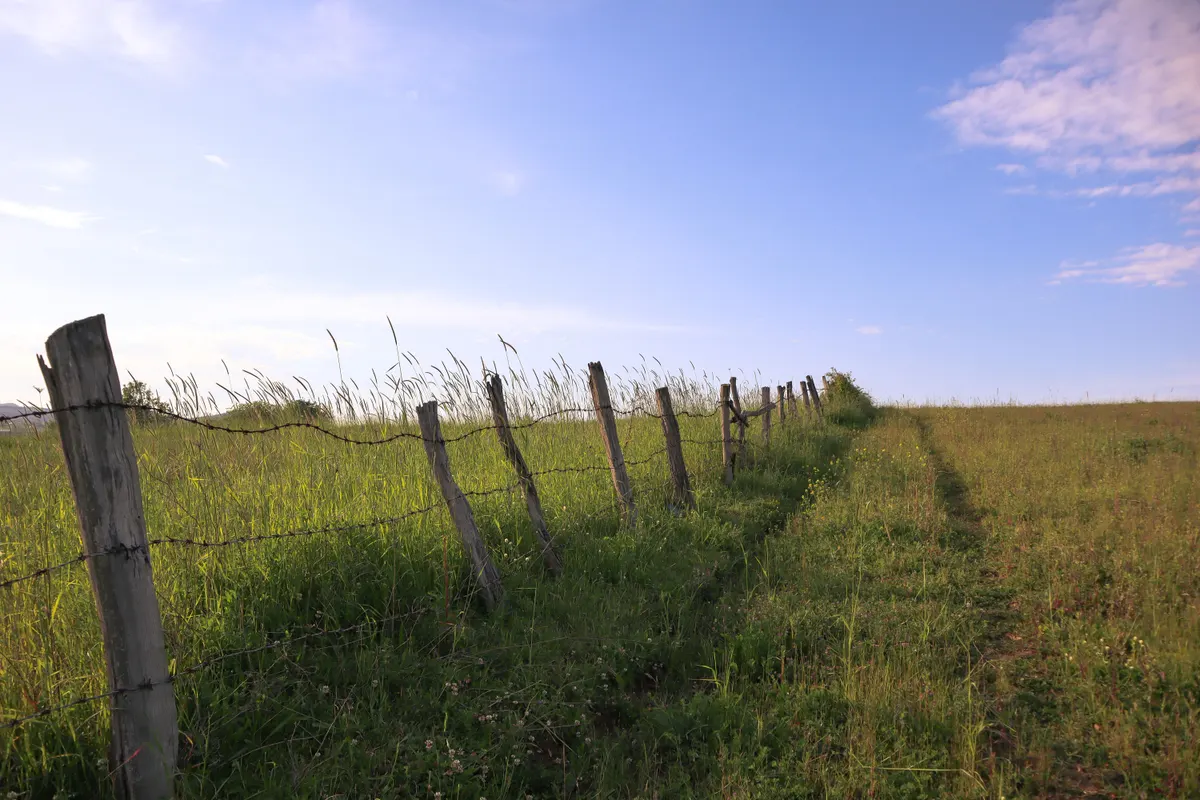 A fence line on a farm, the ground an electric fence for goats runs over