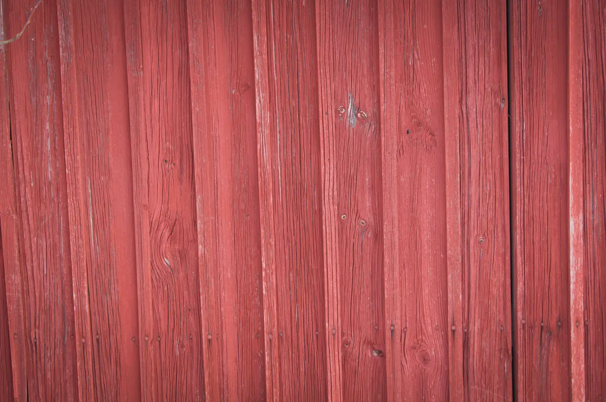 Barn wall, the surface most goat mineral feeders mount to