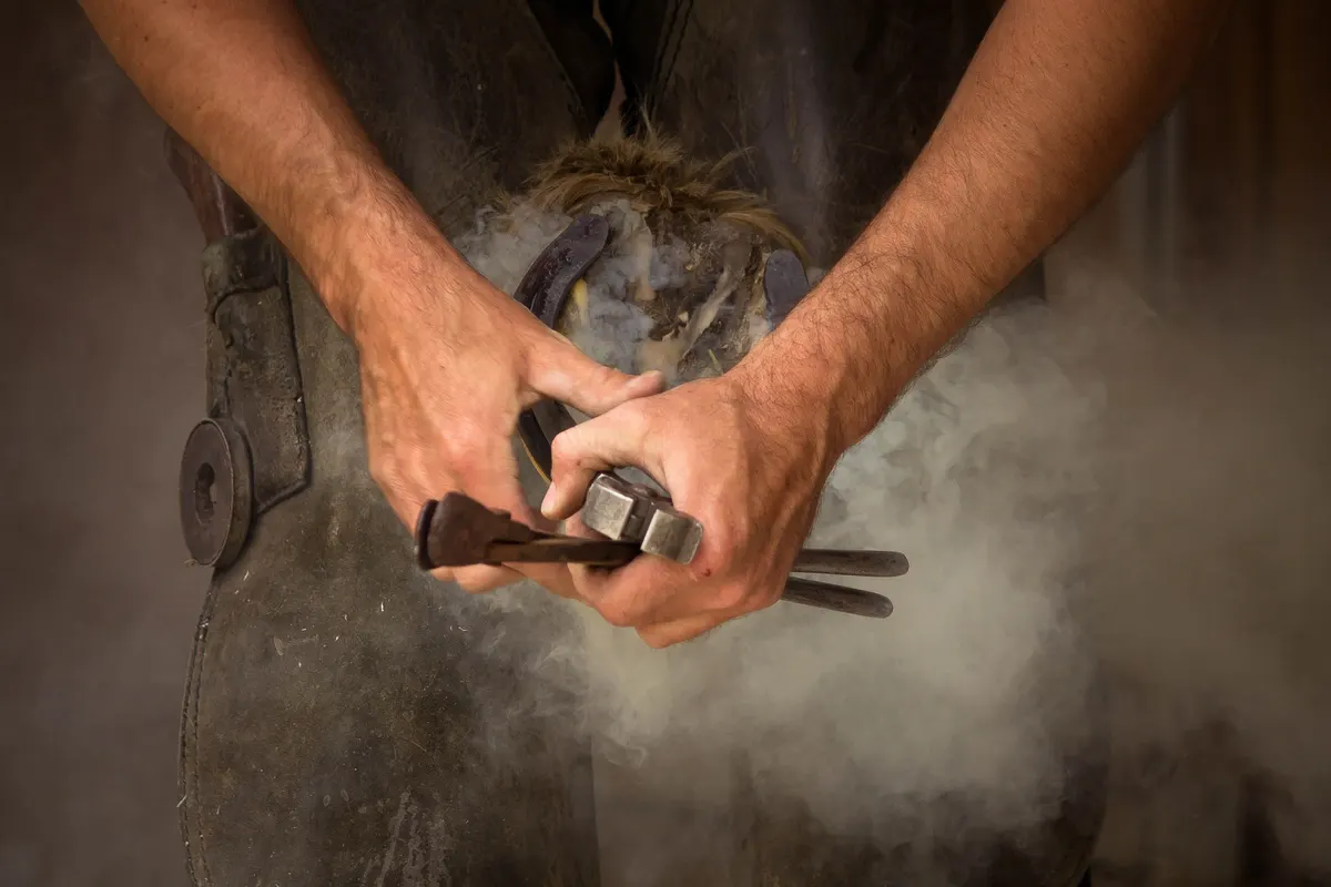 Hoof care between farrier visits, part of a horse supplies kit
