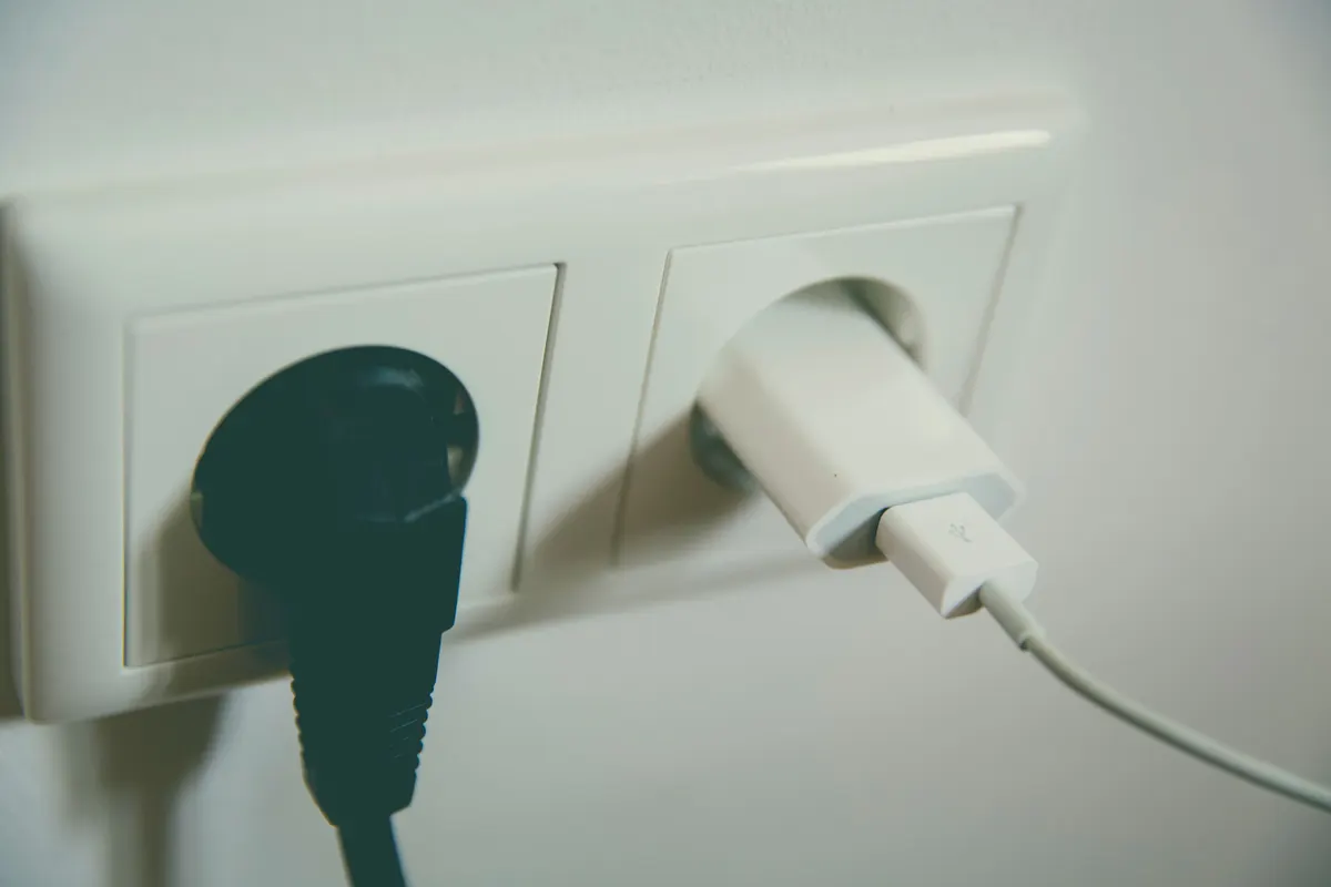 Wall outlet with two plugs inserted, the cords a puppy reaches first