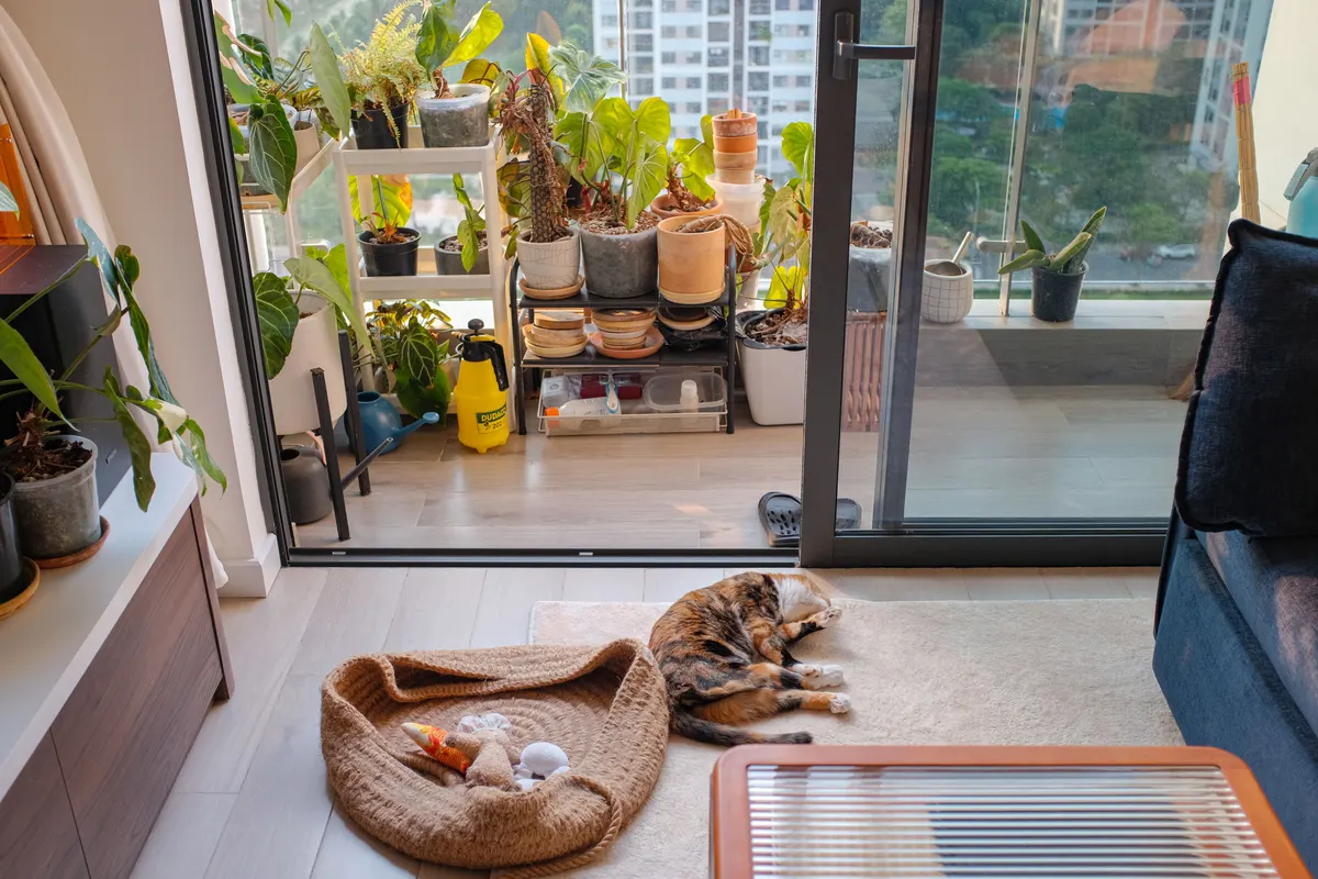 Cat resting among houseplants by a window, part of how to pet proof your apartment