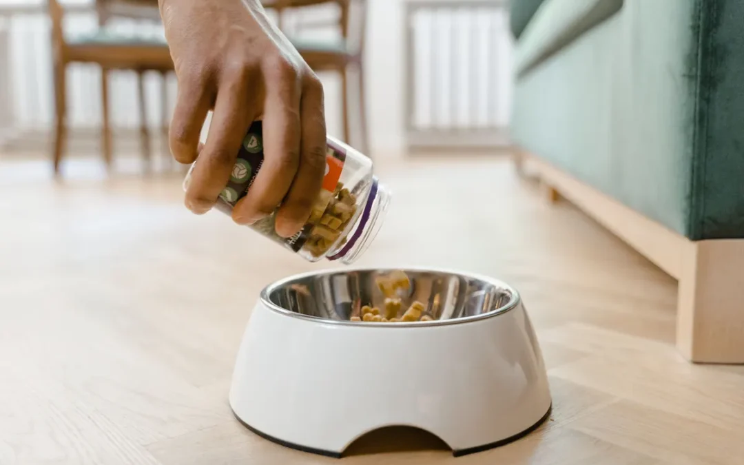 Best Dog Food Storage Container 2026: My 11 Picks After Owning Several