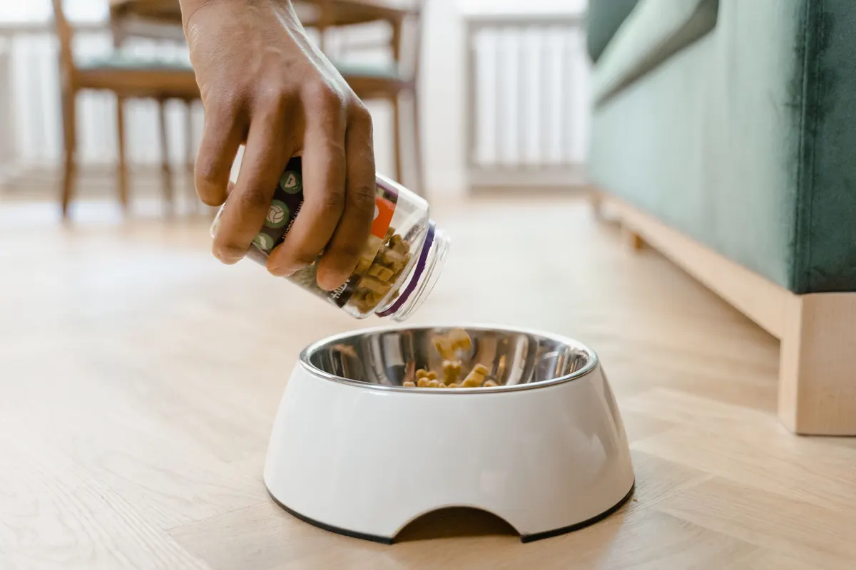 Scooping kibble from a pet food storage container