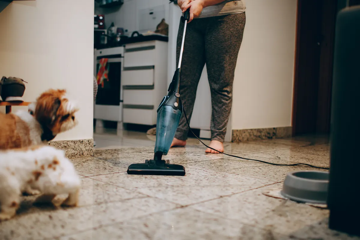 Pet cleaning supplies for hair, stains and odor at home