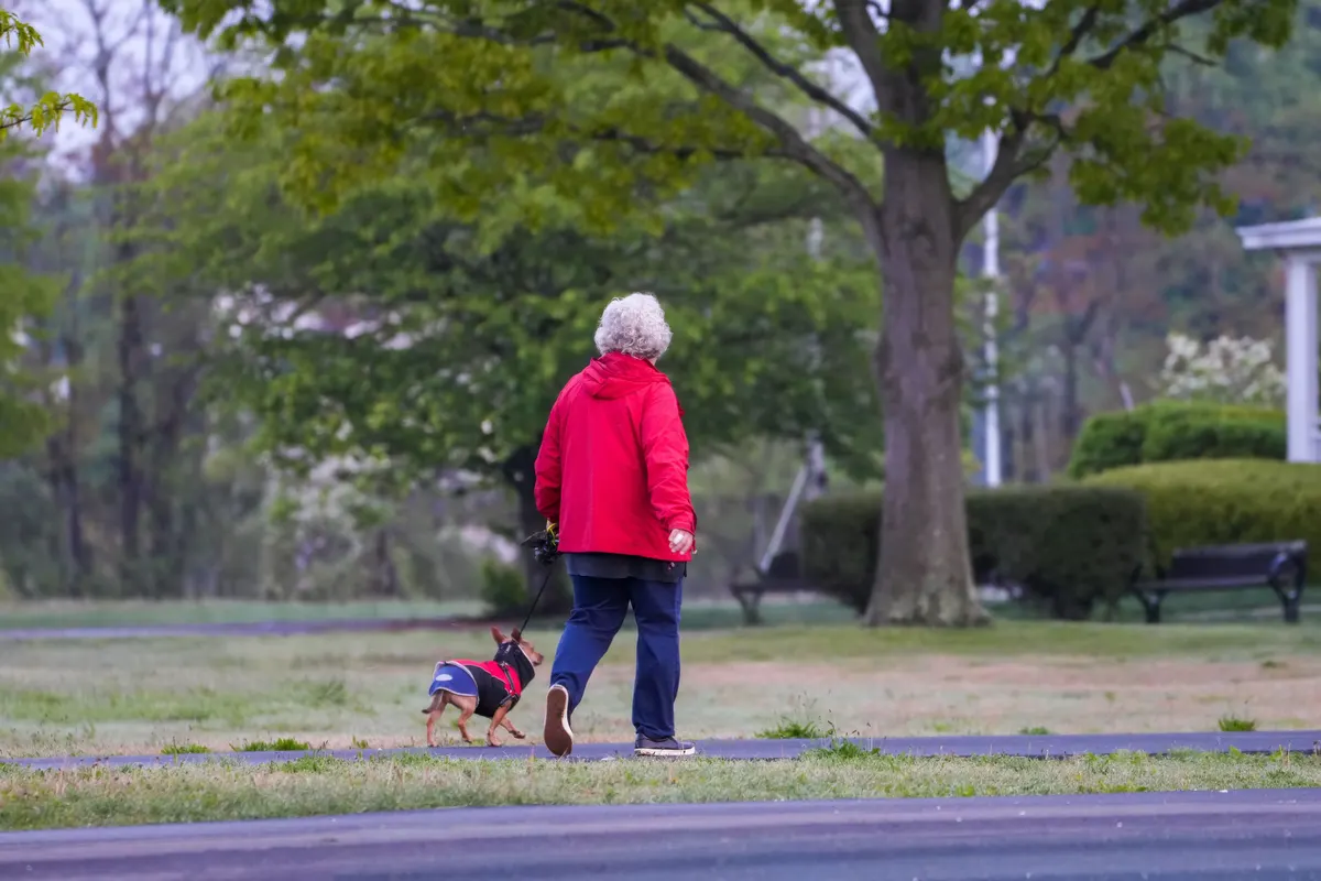 Small dog on a park path with its owner, the walk a dog stroller extends